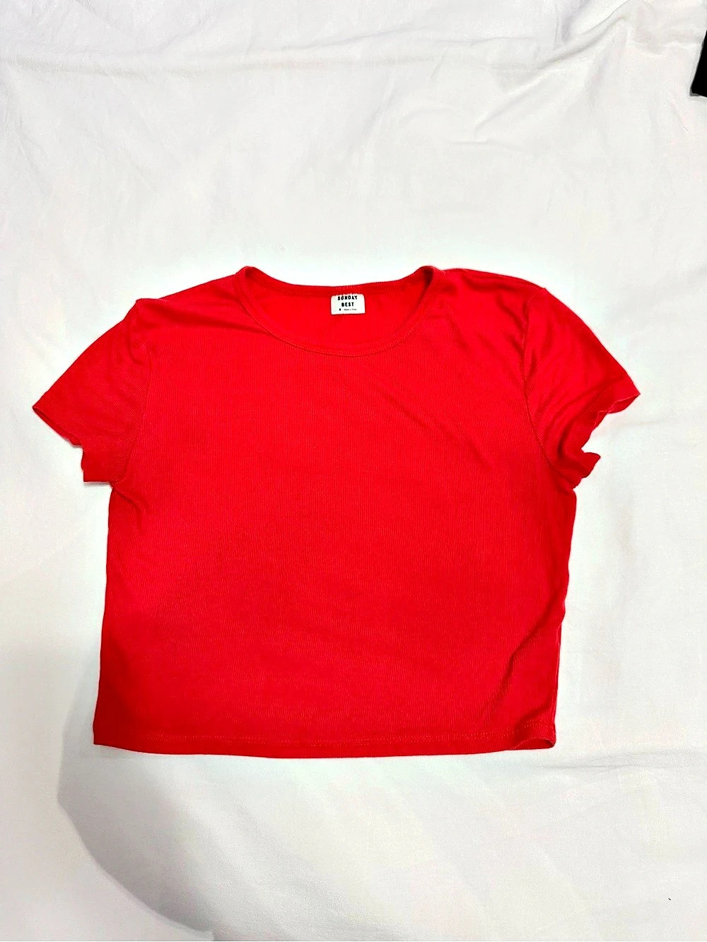 Aritzia Sunday Best Little Red Ribbed T-Shirt